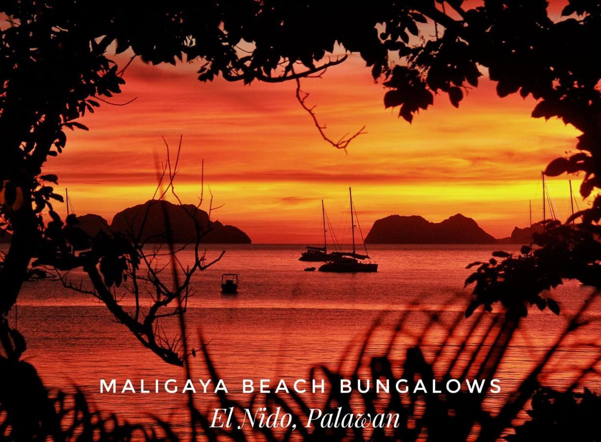 Maligaya Beach Bungalows El Nido Luaran gambar